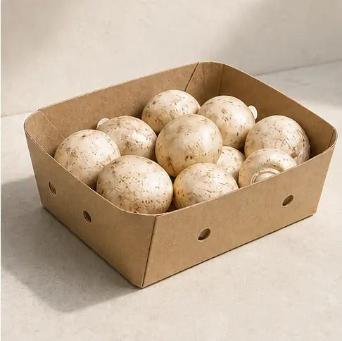 Mushroom Produce Cartons